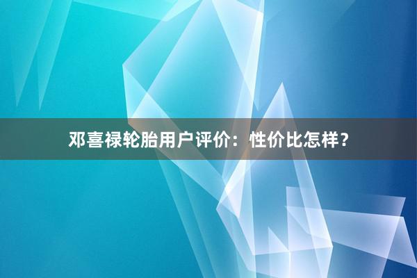 邓喜禄轮胎用户评价：性价比怎样？